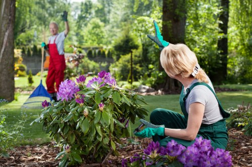 Gardening services in Church End for a neat residential front garden