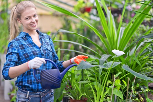 Complaints procedure introduction for gardeners in Church End
