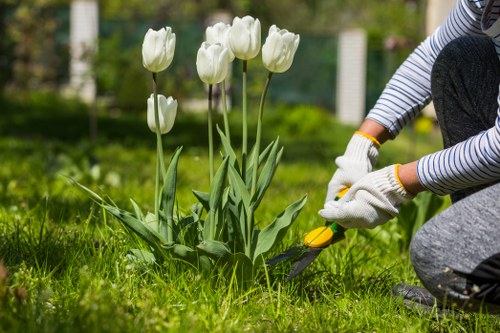 Garden maintenance in Church End with neat lawns and tidy borders