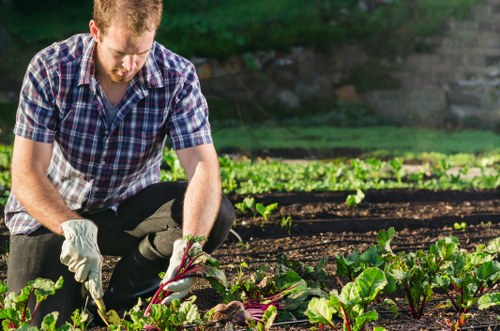 Gardening terms and conditions introduction with service agreement details