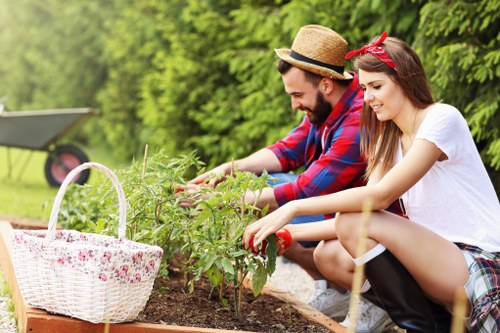 Professional hedge trimming in Church End on a neat garden boundary