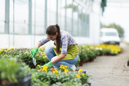 Local gardener providing lawn and hedge care in Church End