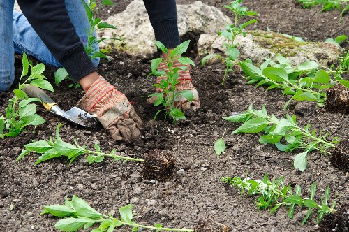 Church End gardening services improving a well-kept outdoor space
