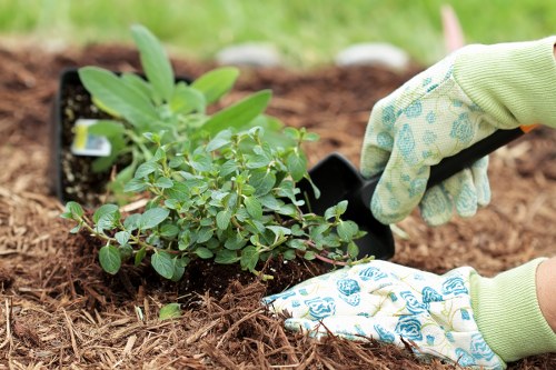 Final stage of a garden complaint resolution process