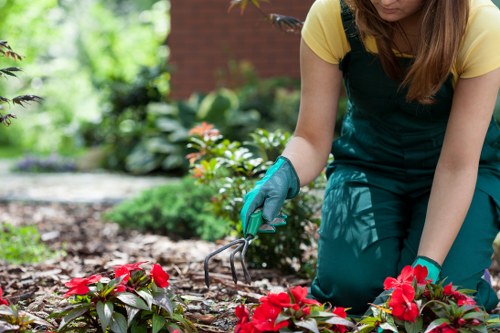 Local gardener in Church End shaping a well-kept outdoor space