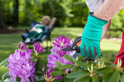 Seasonal garden maintenance in Church End keeping plants healthy and lawns tidy