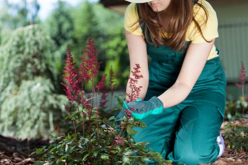 Regular garden upkeep in Church End with clean paths and managed shrubs