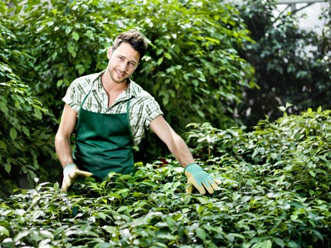 Seasonal lawn mowing care for Church End gardens