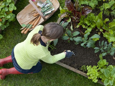 Booking and pricing section for gardening services terms