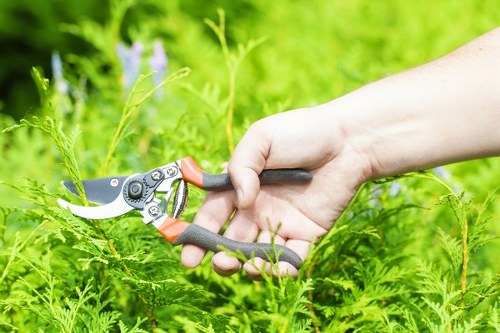 Garden hedge trimming in Church End with clean edges and symmetry