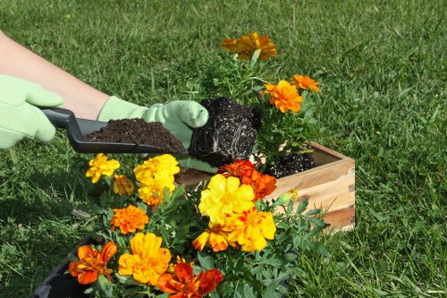 Local gardeners in Church End caring for healthy plants and shrubs