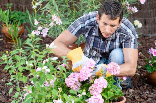 Professional Church End garden care with seasonal maintenance work