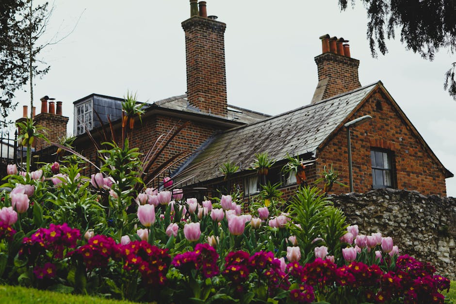 A traditional brick house with a sloped, weathered slate roof and multiple brick chimneys, situated behind a well-maintained garden bed filled with vibrant pink and purple tulips and dark crimson prim
