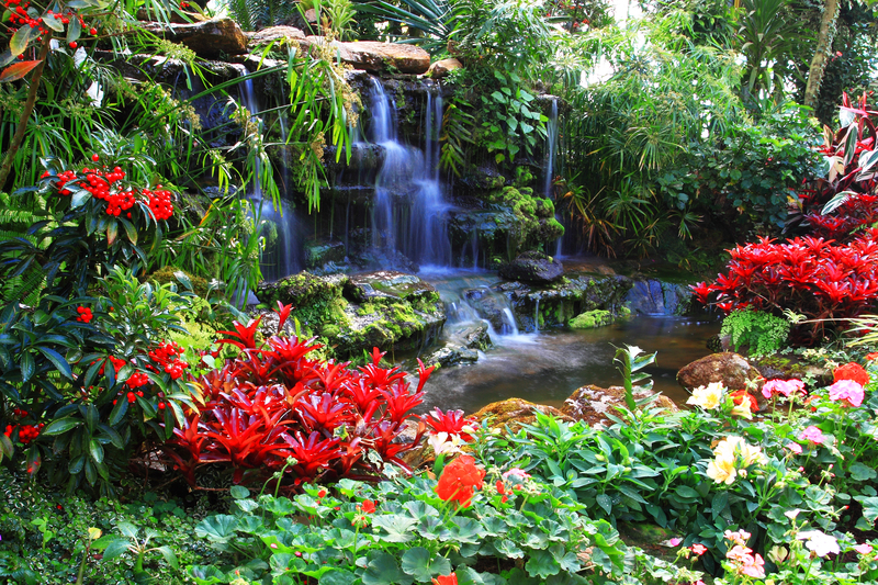 Garden yard