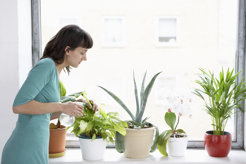 lawn care Garden